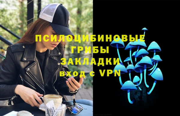 спиды Алзамай