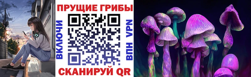 даркнет сайт  Амурск  Галлюциногенные грибы прущие грибы 