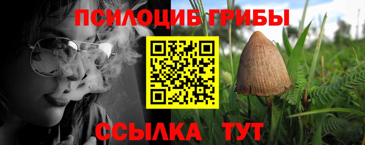 Амурск  Галлюциногенные грибы Psilocybe  Псилоцибиновые грибы ЛСД  Вход с VPN 