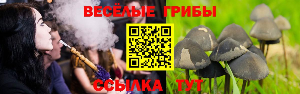 Галлюциногенные грибы Magic Shrooms Амурск